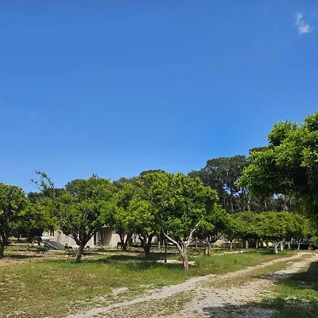 Campingplads Orange Camp Beldibi (Kemer)