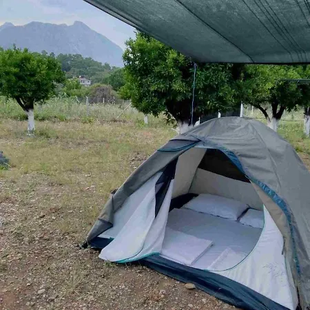 Campingplads Orange Camp 3*