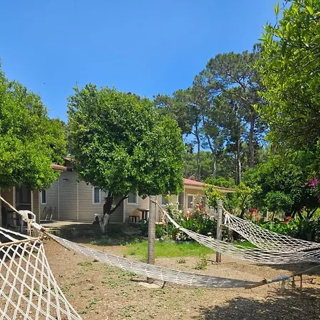 Orange Camp אתר קמפינג 3*
