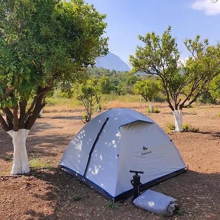 Orange Camp אתר קמפינג